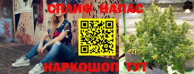 тгк Краснодар
