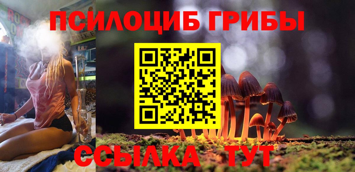 Псилоцибиновые грибы мицелий Учалы