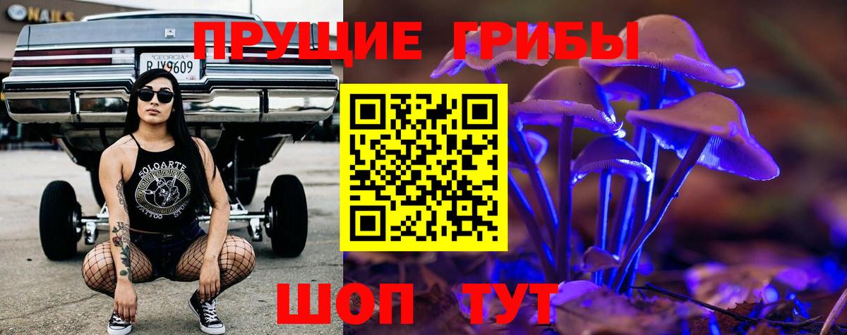 Псилоцибиновые грибы GOLDEN TEACHER  Псилоцибиновые грибы прущие грибы  Вход с VPN  Учалы 